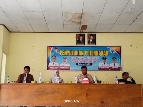 Disbunnak Keswan Kampar Gelar Penyuluhan Budidaya Sapi Potong