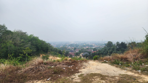Terkini