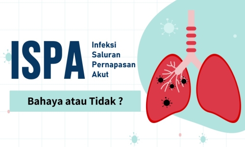 Karhutla Berimbas ke Kesehatan Warga Kampar, 1.297 Kasus ISPA Tercatat