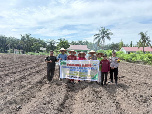 Kapolsek Kepenuhan Bersama Upika Laksanakan Penanaman Jagung Kuartal II di Desa Kepenuhan Baru.