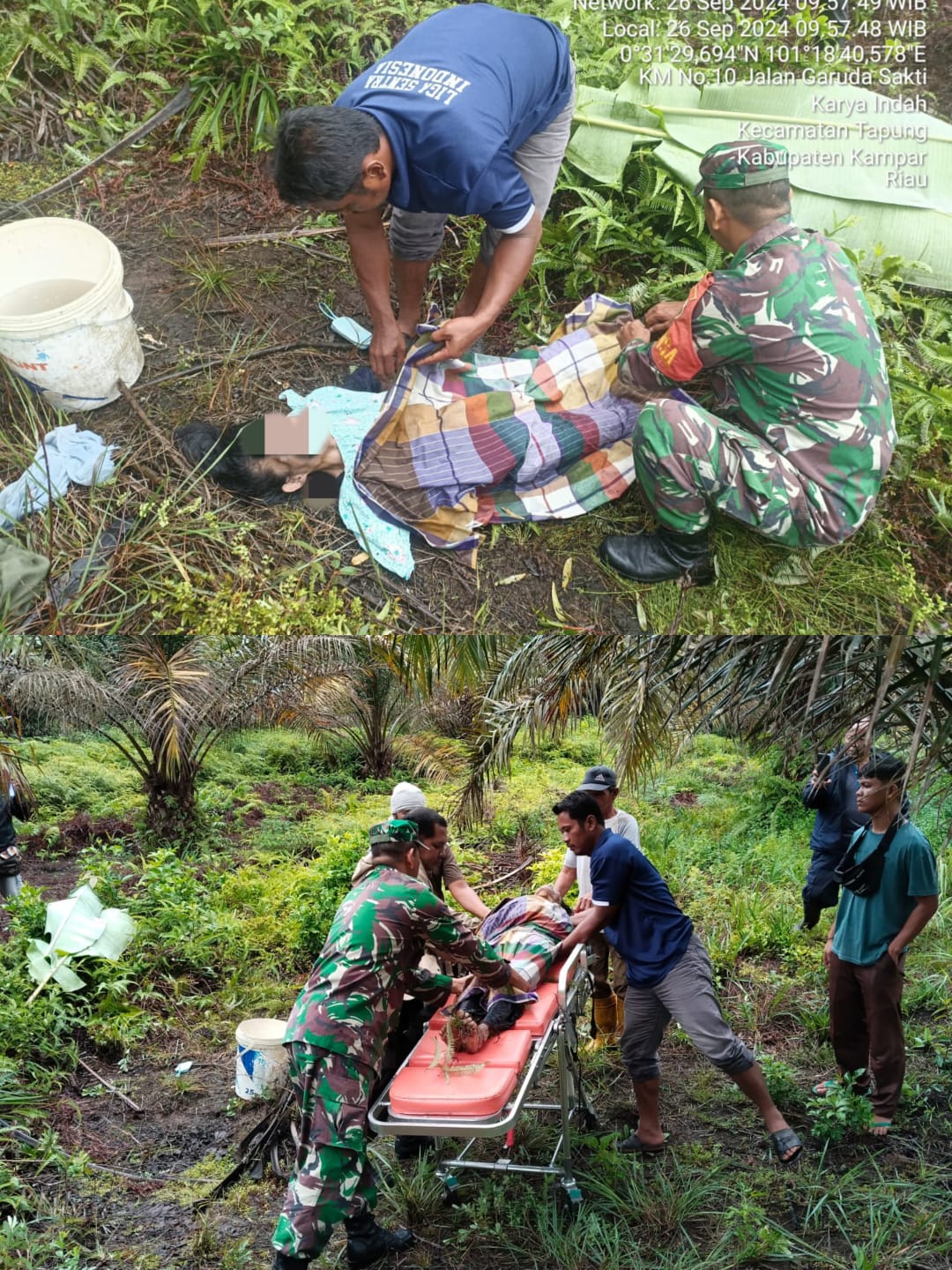 Di duga sakit Seorang wanita tergeletak di dalam kebun sawit dan meninggal di rumah sakit