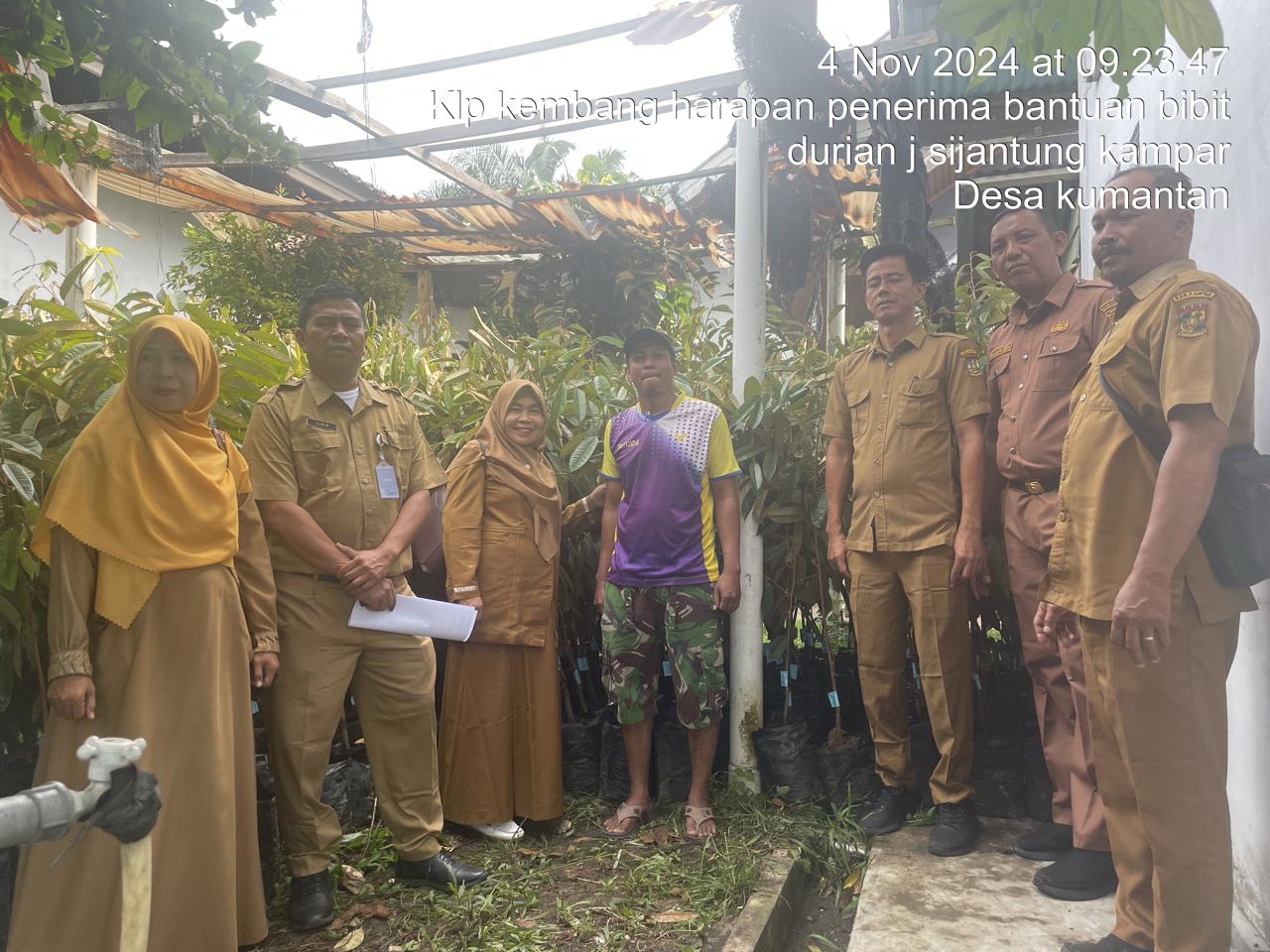 Dinas Pertanian Kampar Bagikan Bibit Durian Lokal kepada Kelompok Tani Kembang Harapan