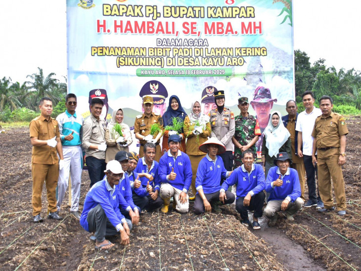 Dukung Ketahanan Pangan Nasional, Pj Bupati  Hambali Tanam Padi di Desa Kayu Aro