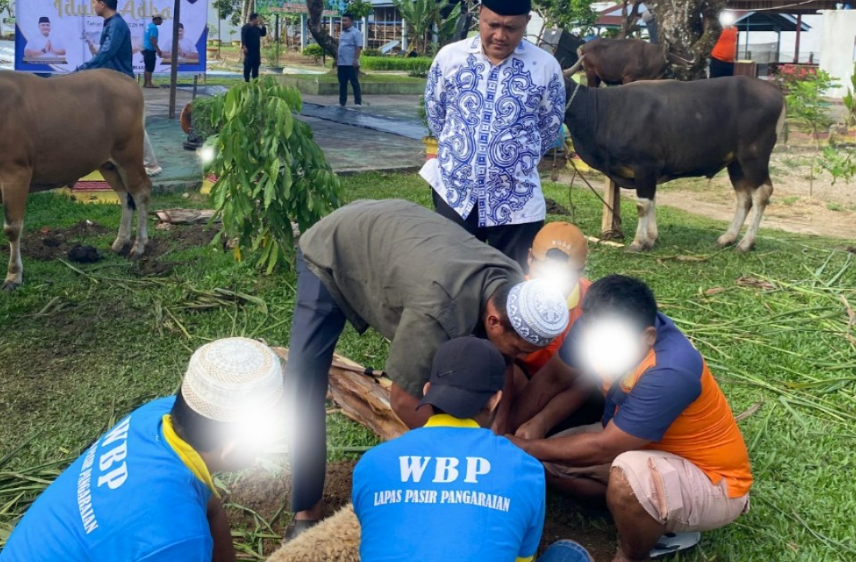 Lapas Pasir Pangarayan Kurban 11 Ekor Sapi dan 7 Ekor Domba, Daging Dibagikan untuk Warga Binaan dan Masyarakat Sekitar