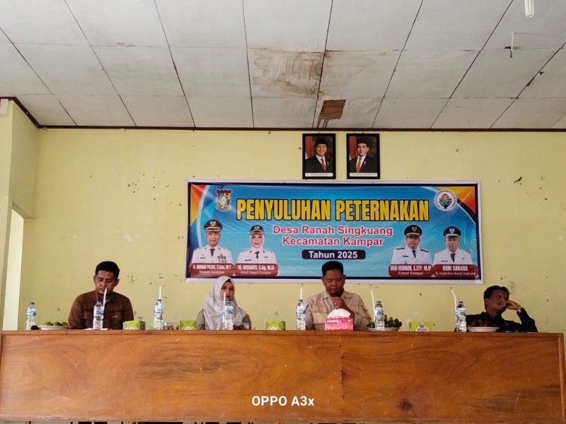 Disbunnak Keswan Kampar Gelar Penyuluhan Budidaya Sapi Potong