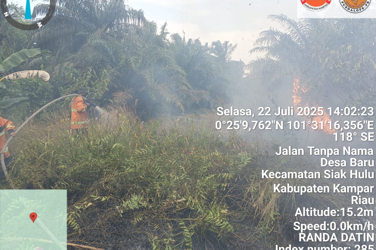 Kebakaran Lahan Gambut di Siak Hulu Sulit Dipadamkan, Satgas Terkendala Cuaca dan Kondisi Medan