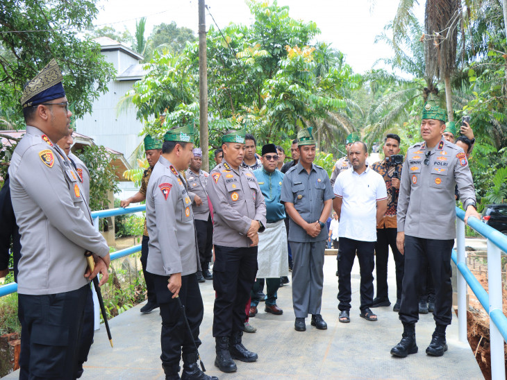 Tinjau Jembatan Darurat di XIII Koto Kampar, Plt Kasatpol PP Sampaikan Apresiasi