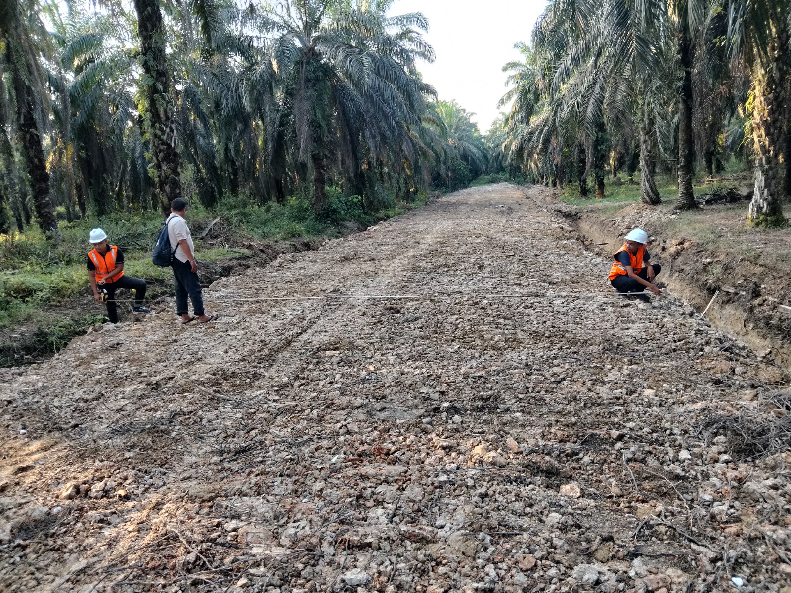Kadis Bunnakkeswan Kampar : Jalan Produksi Kunci Peningkatan Ekonomi Sawit Rakyat