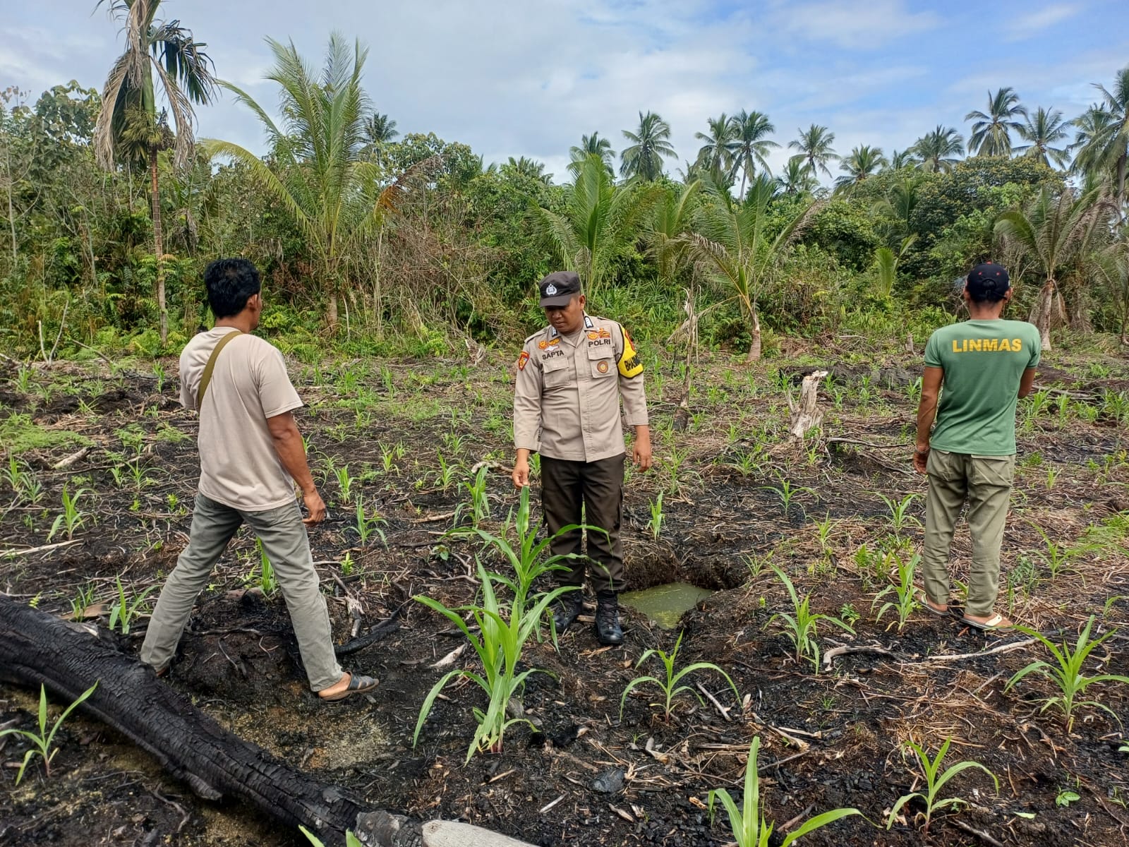 Bhabinkamtibmas Pantau Perkembangan Tanaman Jagung di Desa Teluk Bunian