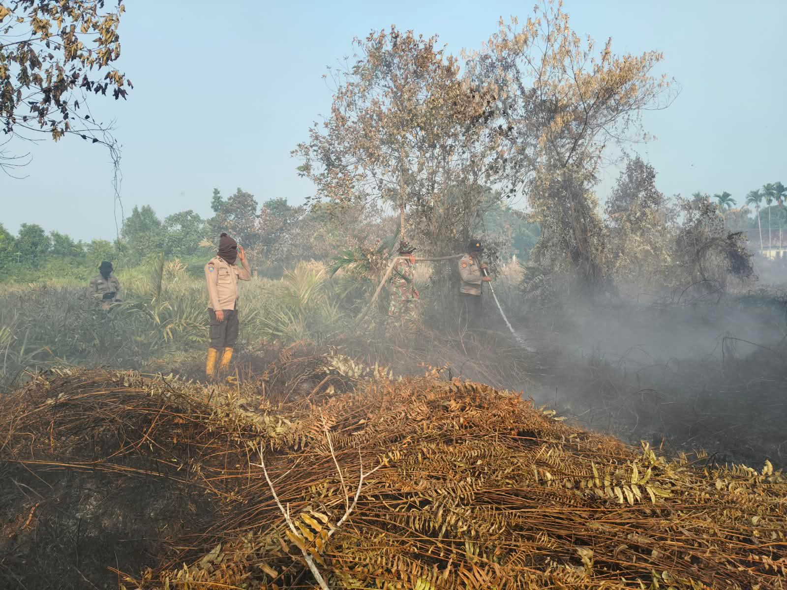 Lahan Gambut di Rimbo Panjang Masih Berasap, Ternyata Ini Penyebabnya